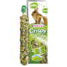 VERSELE LAGA - Crispy Mega Sticks Lapins - Cobayes, Prairie verte