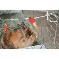 ZOLUX - NEOLIFE Treat Rope for Rabbit