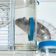 ZOLUX - “Rody 3 mini” cage for small rodents