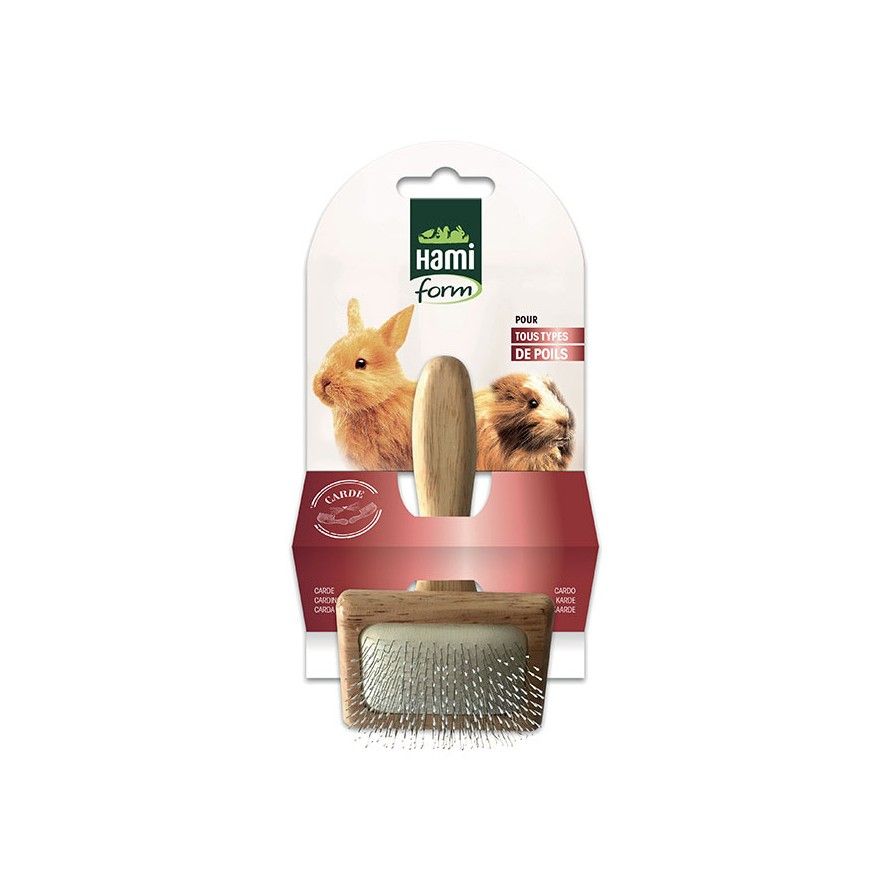 HAMIFORM - Brosse Carde en Bois