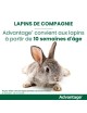 ELANCO - Advantage 40 pour chat et lapin - de 4 kg