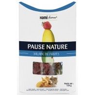 HAMIFORM - Pause Nature - Obstsalat