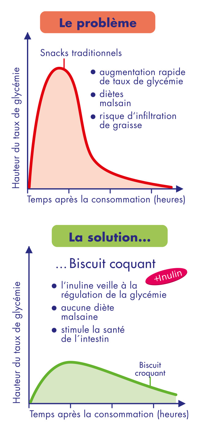 BUNNY NATURE - Biscoito Crocante