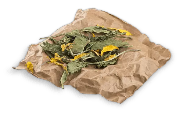 BUNNY NATURE - BOTANICALS Mid Mix - Echinacea and Sunflower Flowers