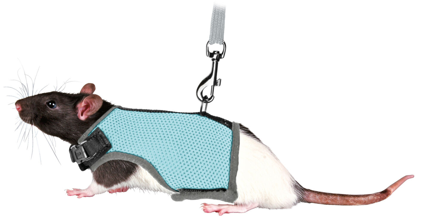 TRIXIE - Rat Harness with Leash