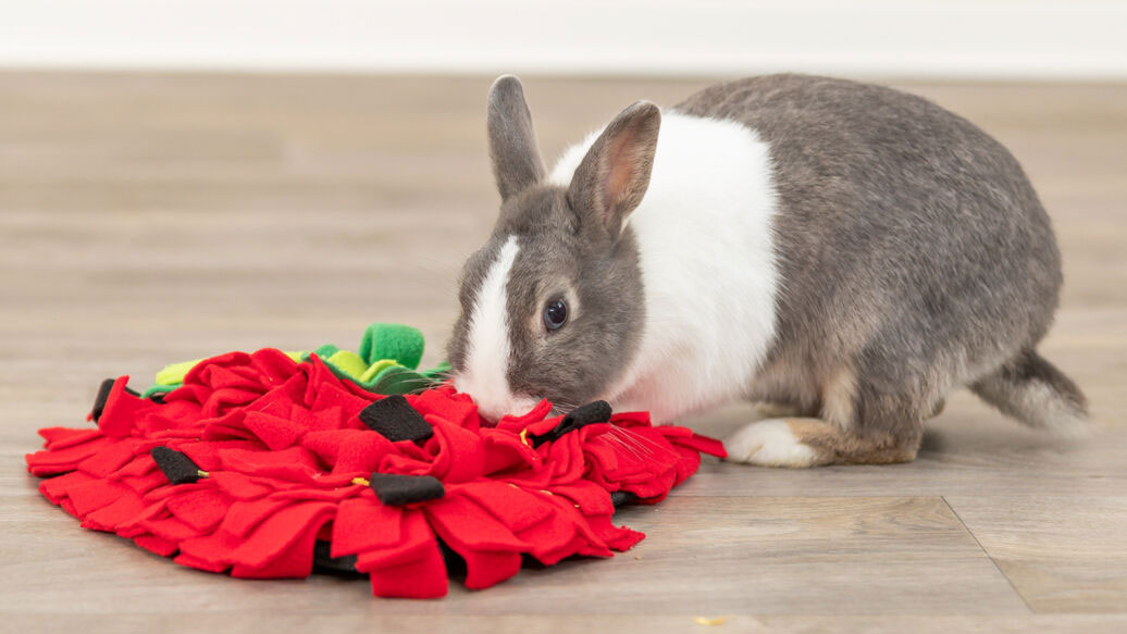 TRIXIE – Grabmatte für Kaninchen und Nagetiere