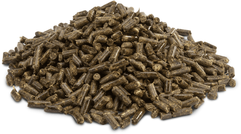 Mix Croccante PELLETS - Porcellini d'India