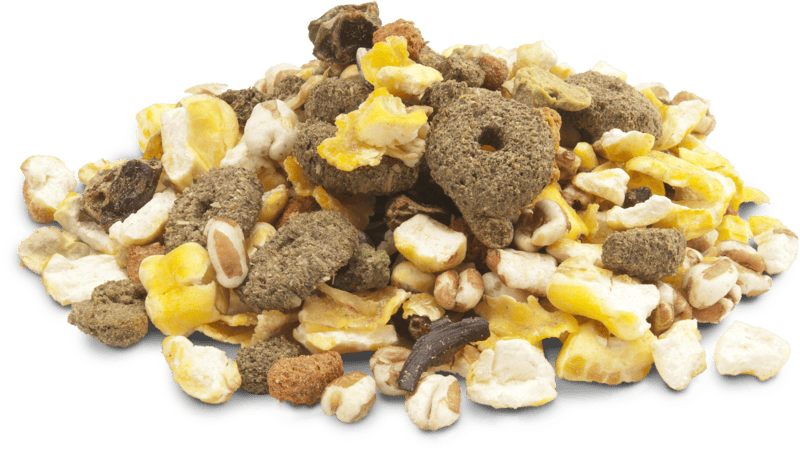 VERSELE LAGA – Knuspriges Snack-Popcorn