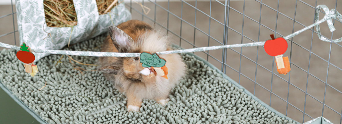 ZOLUX - NEOLIFE Treat Rope for Rabbit