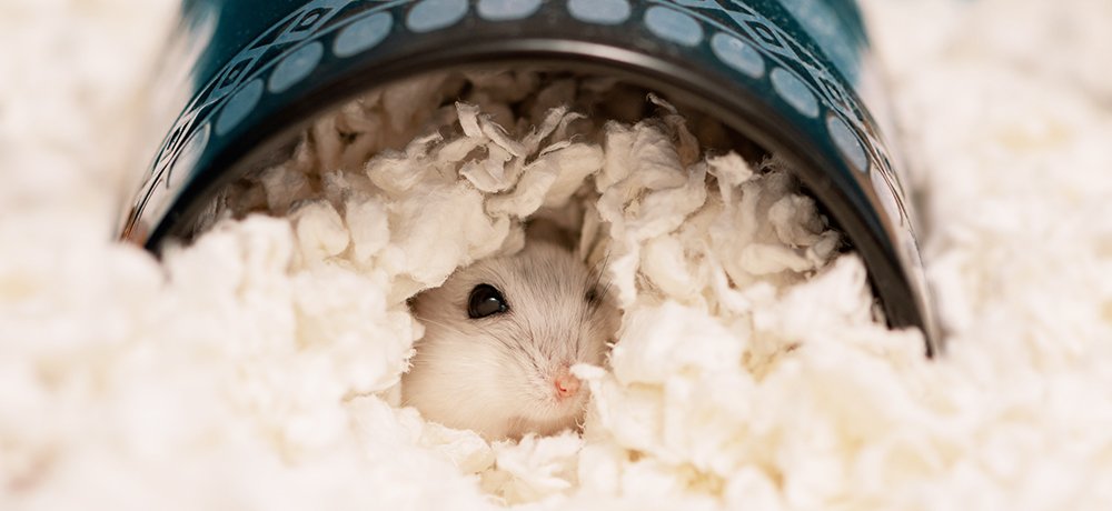 ZOLUX - Cozy Hamster Bed